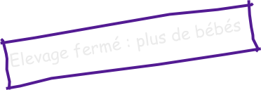 Elevage fermé : plus de bébés